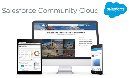 Salesfroce-community-cloud-service-client